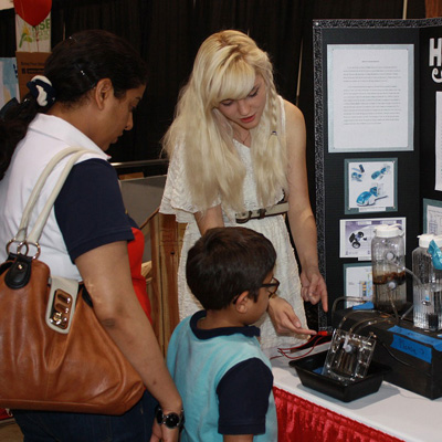 每天都在进步的免费ddos在线攻击